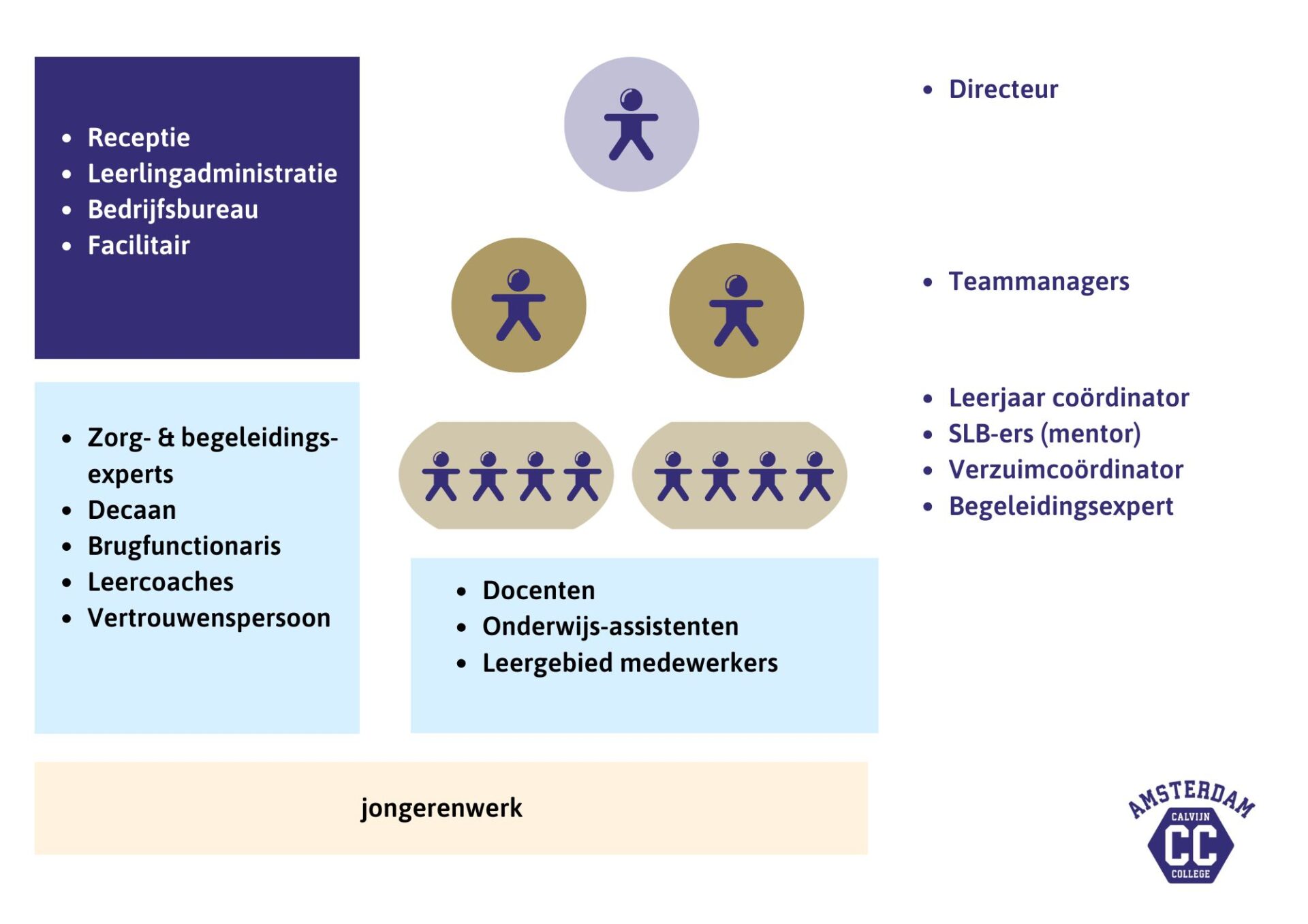 CC - organogram